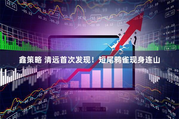 鑫策略 清远首次发现！短尾鸦雀现身连山