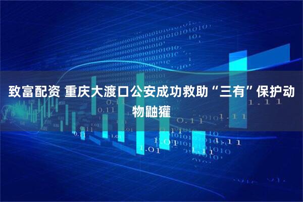 致富配资 重庆大渡口公安成功救助“三有”保护动物鼬獾