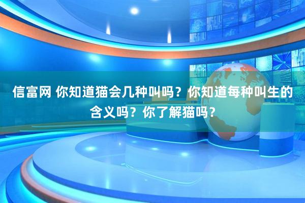 信富网 你知道猫会几种叫吗？你知道每种叫生的含义吗？你了解猫吗？