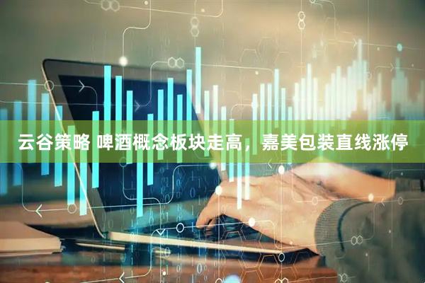 云谷策略 啤酒概念板块走高，嘉美包装直线涨停