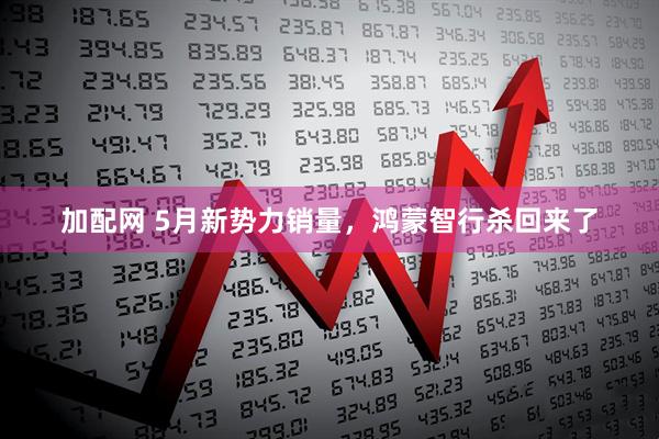 加配网 5月新势力销量，鸿蒙智行杀回来了